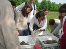 t_DSCF0951.jpg